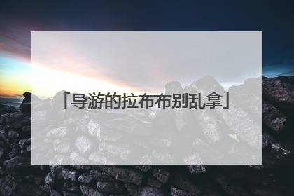 导游的拉布布别乱拿
