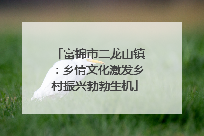 富锦市二龙山镇：乡情文化激发乡村振兴勃勃生机