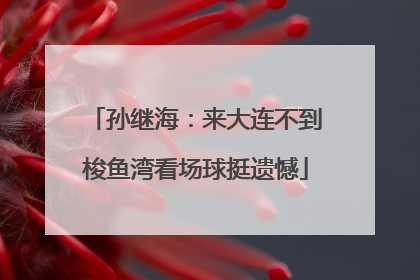孙继海：来大连不到梭鱼湾看场球挺遗憾
