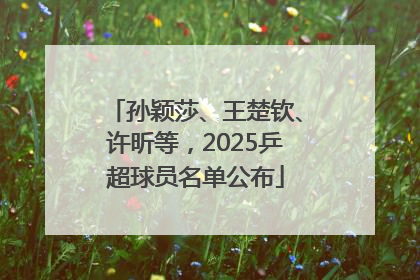 孙颖莎、王楚钦、许昕等，2025乒超球员名单公布