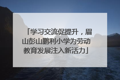 学习交流促提升，眉山彭山鹏利小学为劳动教育发展注入新活力