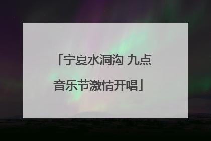 宁夏水洞沟 九点音乐节激情开唱