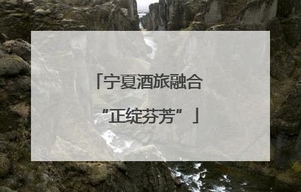 宁夏酒旅融合“正绽芬芳”