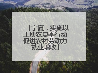 宁夏：实施以工助农夏季行动促进农村劳动力就业增收
