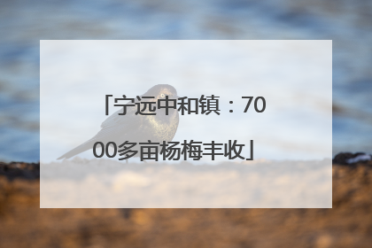 宁远中和镇：7000多亩杨梅丰收