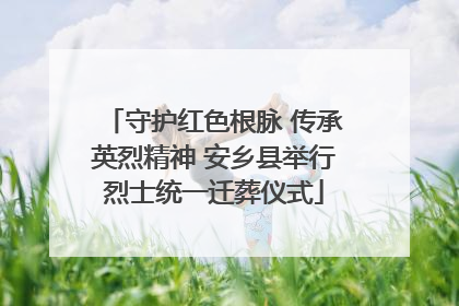 守护红色根脉 传承英烈精神 安乡县举行烈士统一迁葬仪式