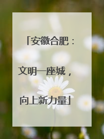 安徽合肥：文明一座城，向上新力量