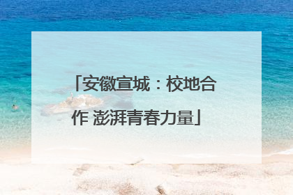 安徽宣城：校地合作 澎湃青春力量