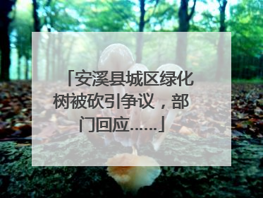安溪县城区绿化树被砍引争议，部门回应……