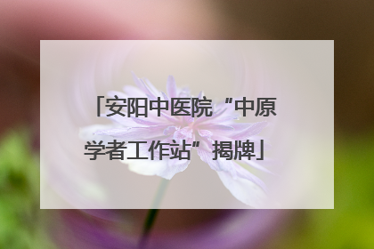 安阳中医院“中原学者工作站”揭牌