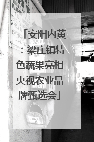 安阳内黄：梁庄镇特色蔬果亮相央视农业品牌甄选会