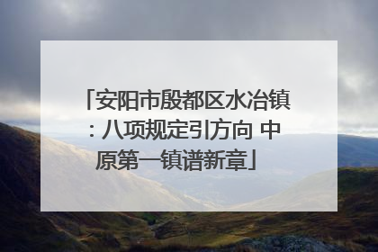 安阳市殷都区水冶镇：八项规定引方向 中原第一镇谱新章