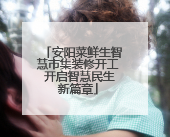 安阳菜鲜生智慧市集装修开工 开启智慧民生新篇章