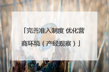 完善准入制度 优化营商环境（产经观察）
