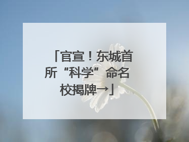 官宣！东城首所“科学”命名校揭牌→
