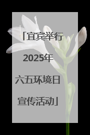 宜宾举行2025年六五环境日宣传活动