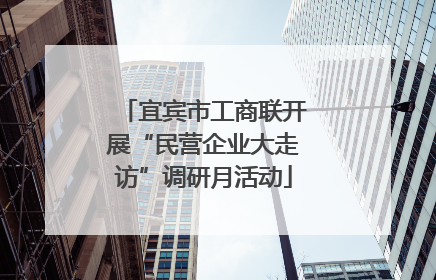 宜宾市工商联开展“民营企业大走访”调研月活动