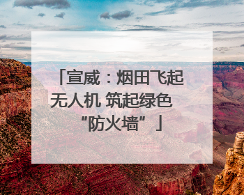 宣威：烟田飞起无人机 筑起绿色“防火墙”