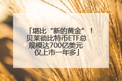 堪比“新的黄金”！贝莱德比特币ETF总规模达700亿美元 仅上市一年多