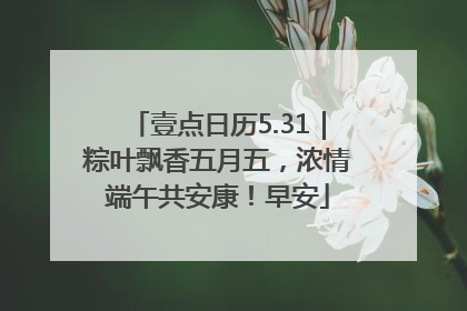 壹点日历5.31｜粽叶飘香五月五，浓情端午共安康！早安
