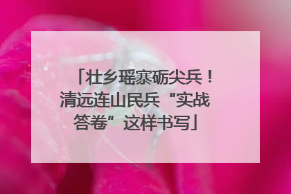 壮乡瑶寨砺尖兵！清远连山民兵“实战答卷”这样书写