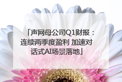 声网母公司Q1财报：连续两季度盈利 加速对话式AI场景落地