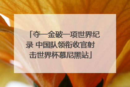 夺一金破一项世界纪录 中国队领衔收官射击世界杯慕尼黑站