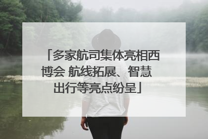 多家航司集体亮相西博会 航线拓展、智慧出行等亮点纷呈