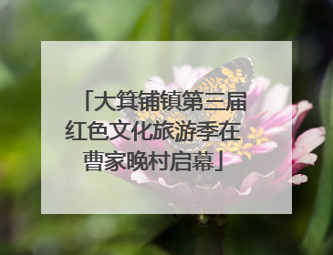 大箕铺镇第三届红色文化旅游季在曹家晚村启幕