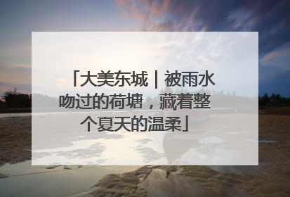 大美东城｜被雨水吻过的荷塘，藏着整个夏天的温柔
