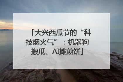 大兴西瓜节的“科技烟火气”：机器狗搬瓜、AI摊煎饼