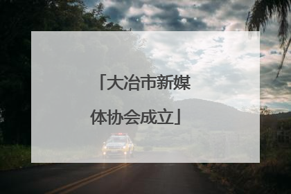 大冶市新媒体协会成立