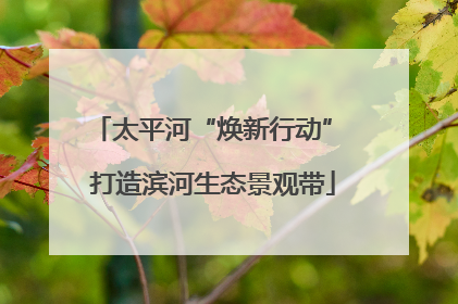 太平河“焕新行动” 打造滨河生态景观带