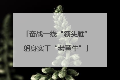 奋战一线“领头雁” 躬身实干“老黄牛”