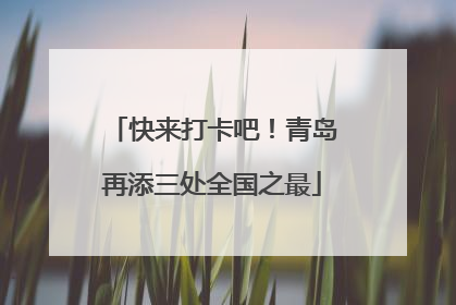 快来打卡吧！青岛再添三处全国之最