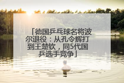 德国乒乓球名将波尔退役：从孔令辉打到王楚钦，同5代国乒选手竞争