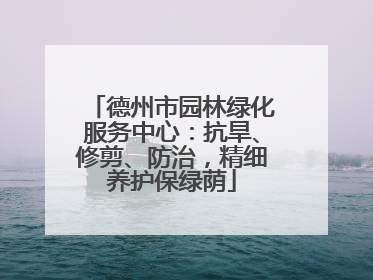 德州市园林绿化服务中心：抗旱、修剪、防治，精细养护保绿荫