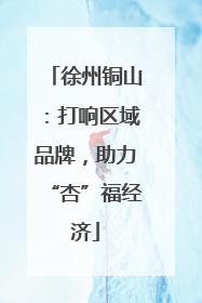 徐州铜山：打响区域品牌，助力“杏”福经济