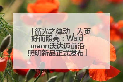 循光之律动，为更好而照亮：Waldmann沃达迈前沿照明新品正式发布