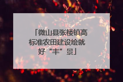 微山县张楼镇高标准农田建设绘就好“丰”景