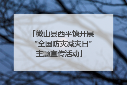 微山县西平镇开展“全国防灾减灾日”主题宣传活动