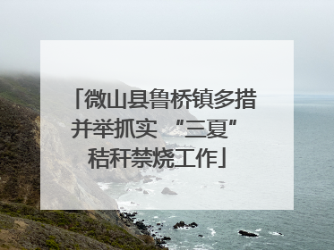 微山县鲁桥镇多措并举抓实 “三夏” 秸秆禁烧工作