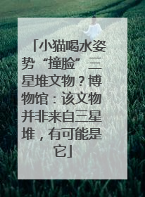 小猫喝水姿势“撞脸”三星堆文物？博物馆：该文物并非来自三星堆，有可能是它