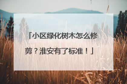 小区绿化树木怎么修剪？淮安有了标准！
