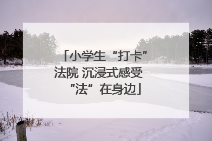 小学生“打卡”法院 沉浸式感受“法”在身边