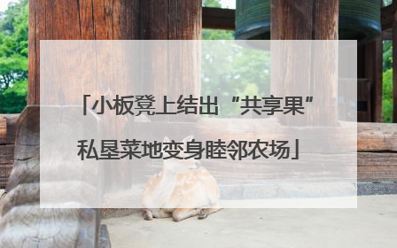 小板凳上结出“共享果” 私垦菜地变身睦邻农场