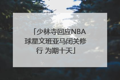 少林寺回应NBA球星文班亚马闭关修行 为期十天