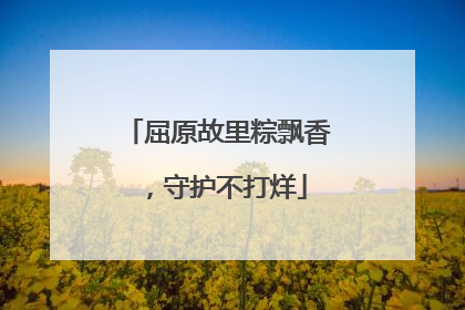 屈原故里粽飘香，守护不打烊