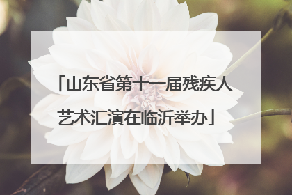 山东省第十一届残疾人艺术汇演在临沂举办