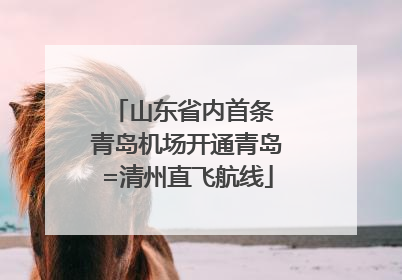 山东省内首条 青岛机场开通青岛=清州直飞航线